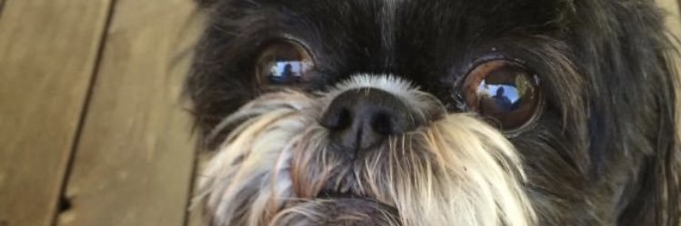 Secondchanzes's profile banner image