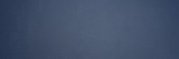 WaltersState Profile Banner