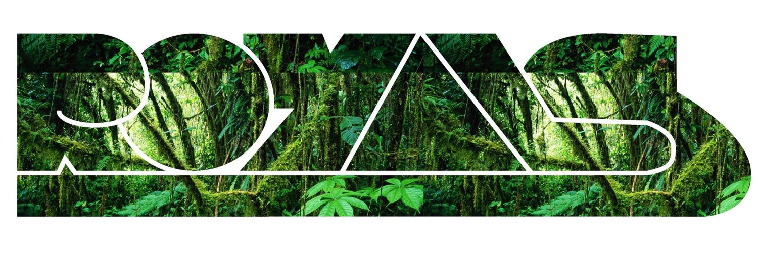RoyalS_Official's profile banner image