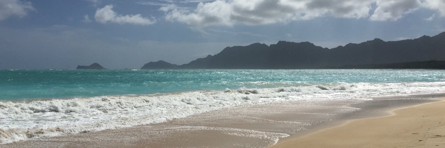 vinessacarrillo's profile banner image