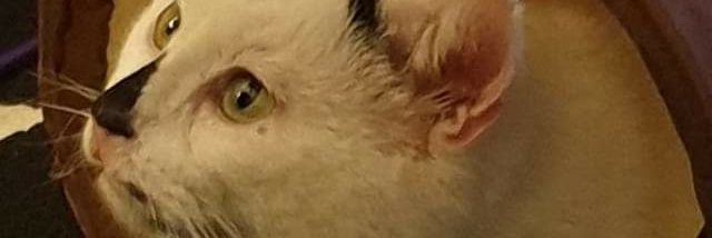 HighVoltage141's profile banner image