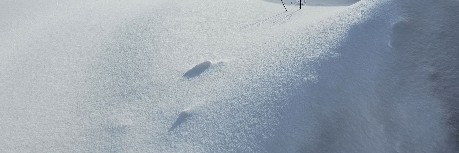 Bbejr69's profile banner image