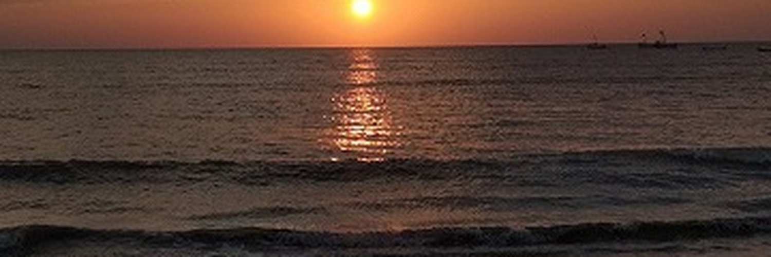kellyj264's profile banner image