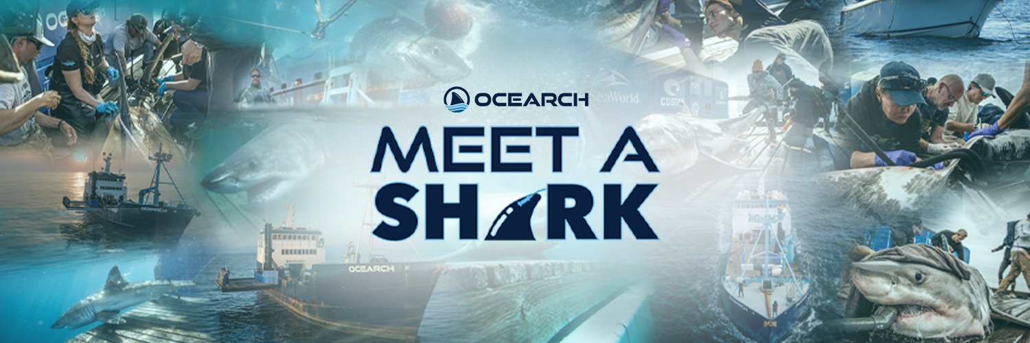 OCEARCH Profile Banner