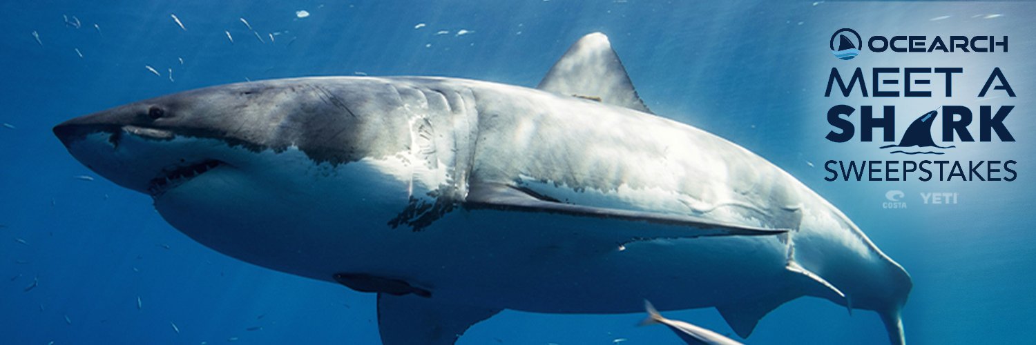 OCEARCH's profile banner image