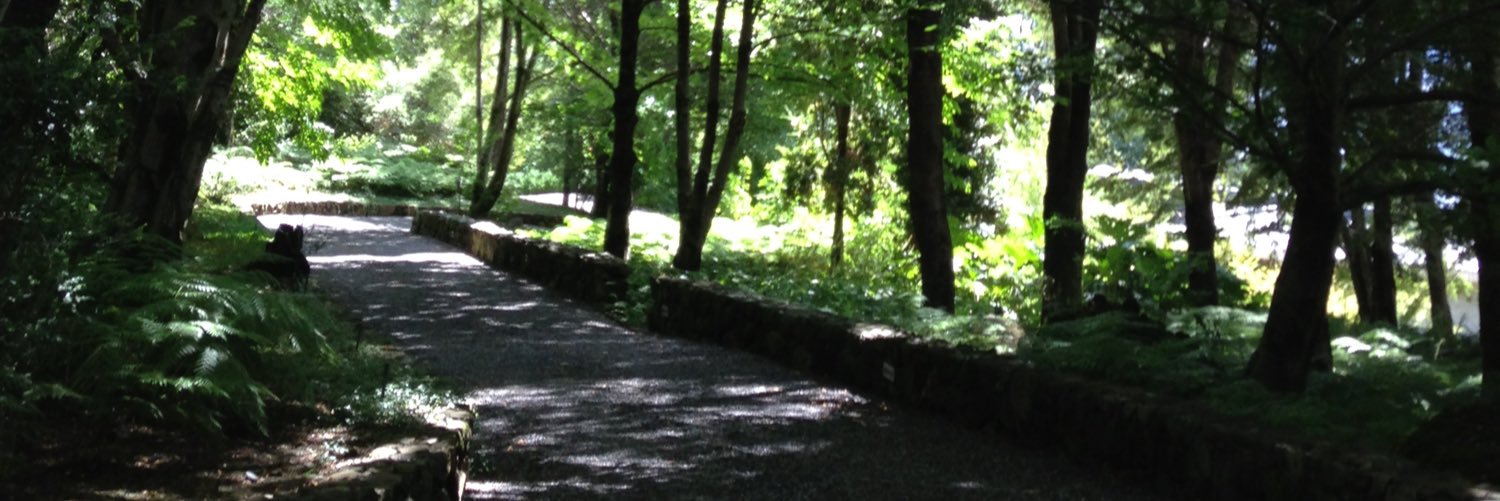 pankitorrealba's profile banner image