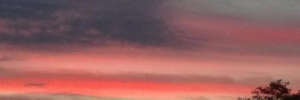 thisisboz's profile banner image