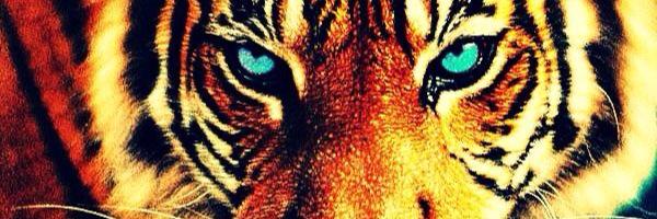 stephanieruano's profile banner image
