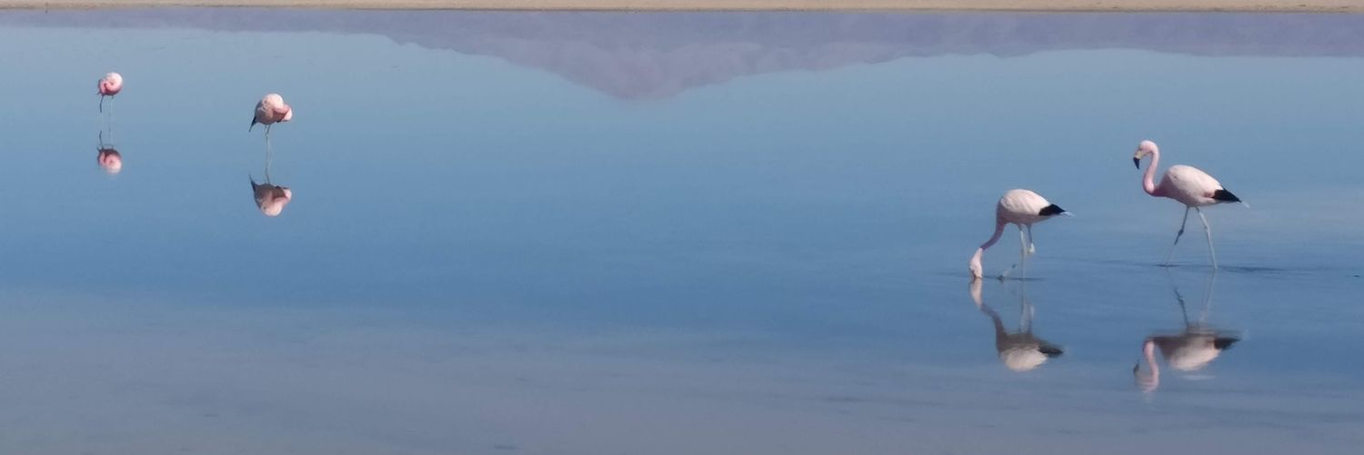zoidberg's profile banner image