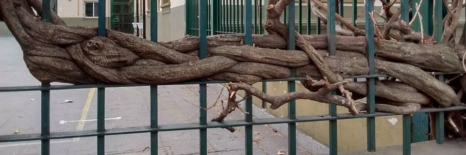 Gaby67 💚🧡 banner