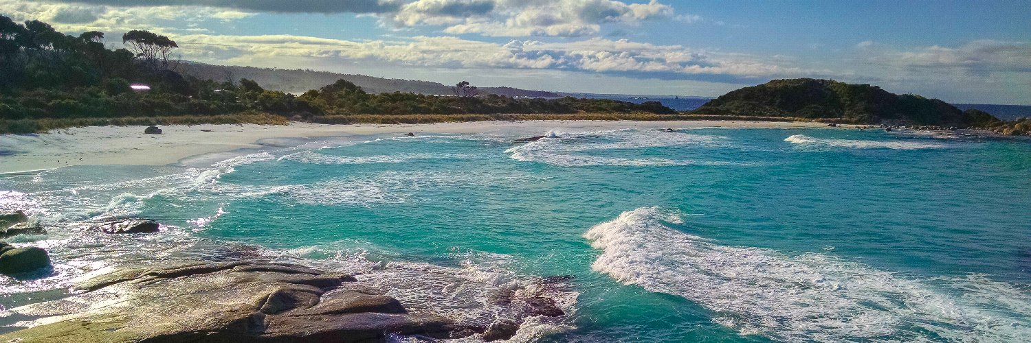 André Oliveira banner