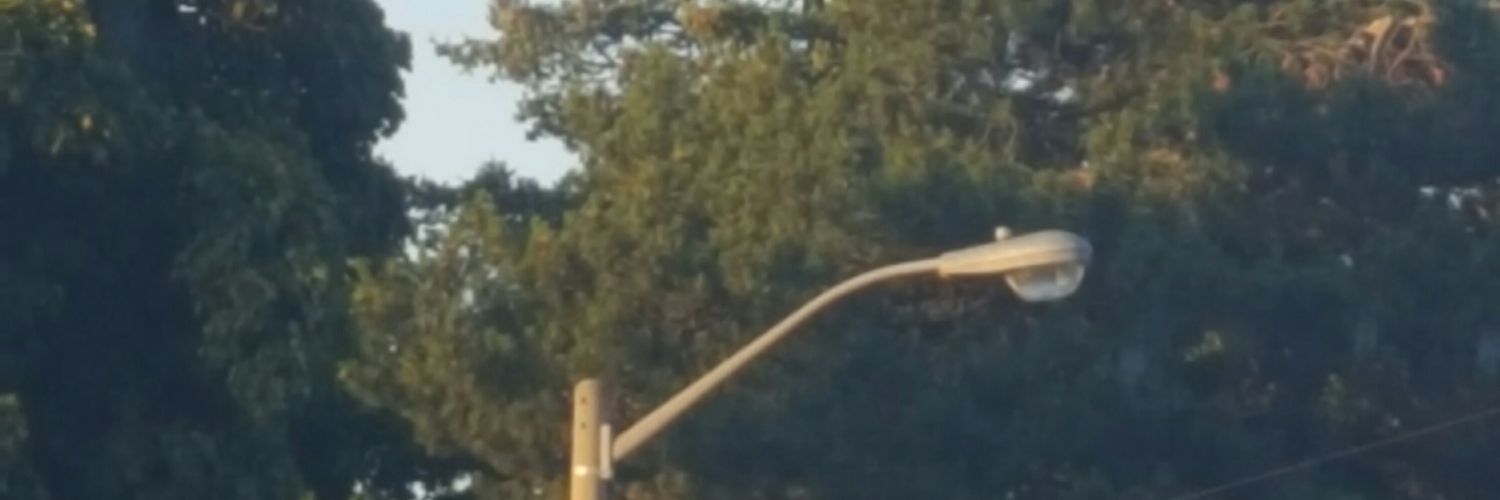 backwardb6's profile banner image