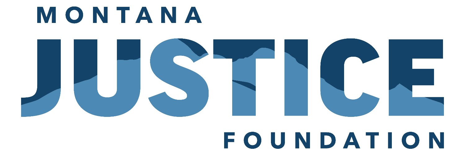 MTJusticeFDN's profile banner image
