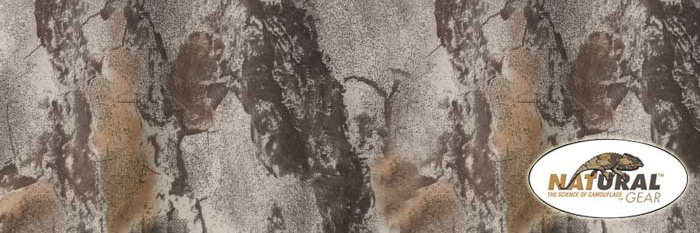 C banner