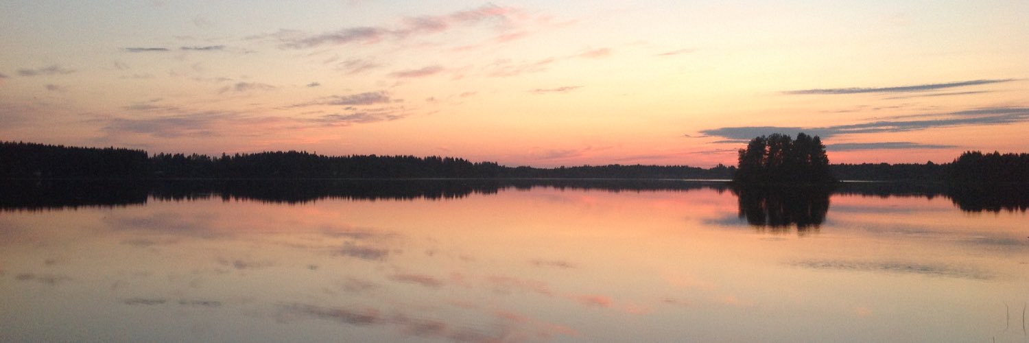 Kati Partanen banner