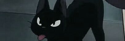 sinthiuhh's profile banner image