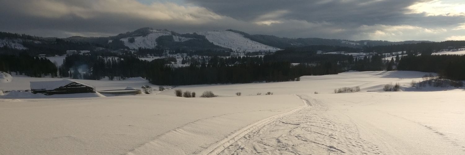 Peder Mørtvedt banner
