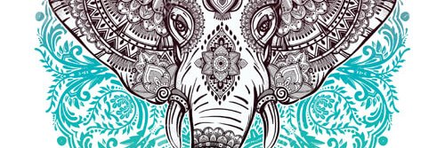 nithuile's profile banner image