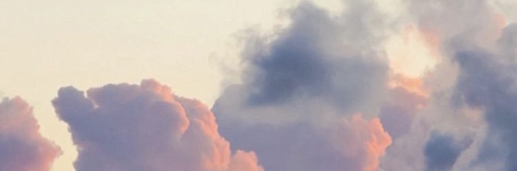 lady_steps's profile banner image