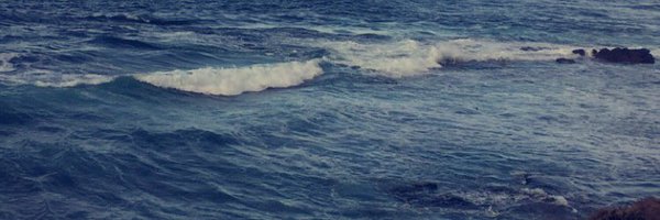 Coach_Trizzy Profile Banner