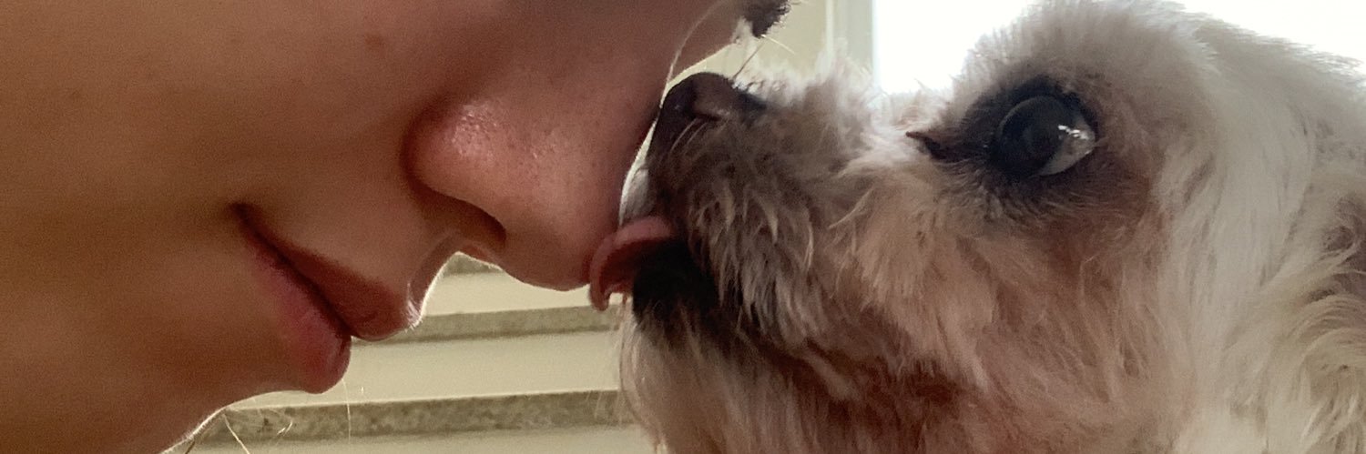 vanessarochamm's profile banner image
