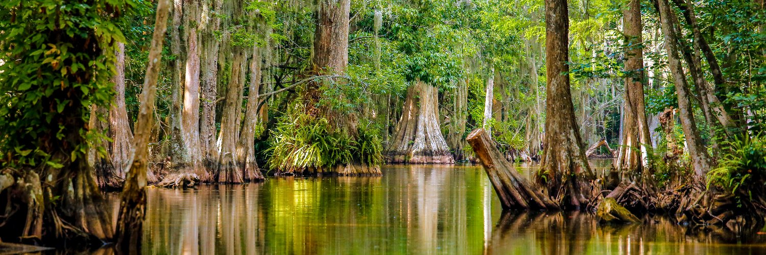 visitlakefl's profile banner image