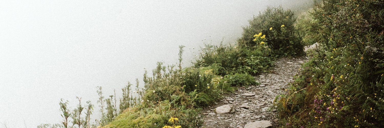 Corina Lupu banner