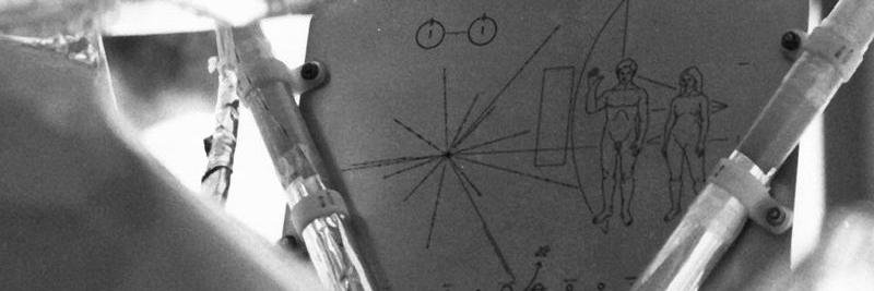 cecii026's profile banner image