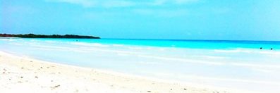 Vjsa007's profile banner image