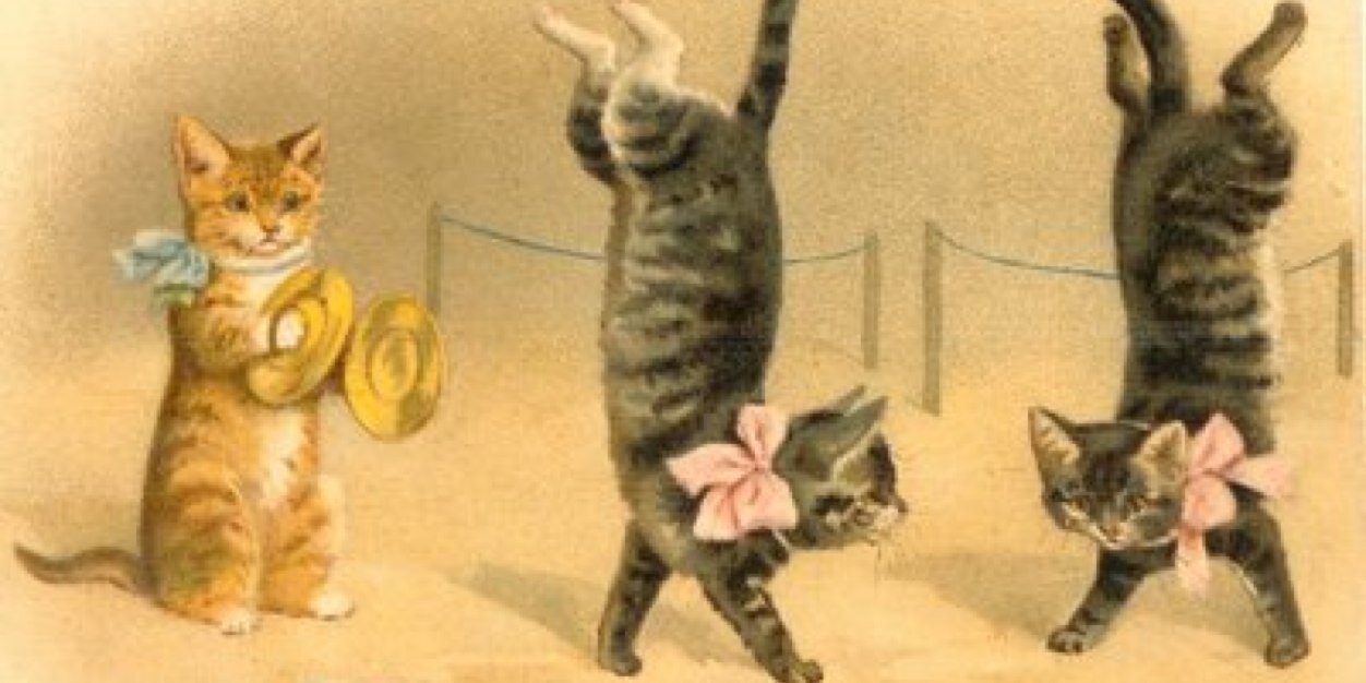 TheNatalieFiles's profile banner image