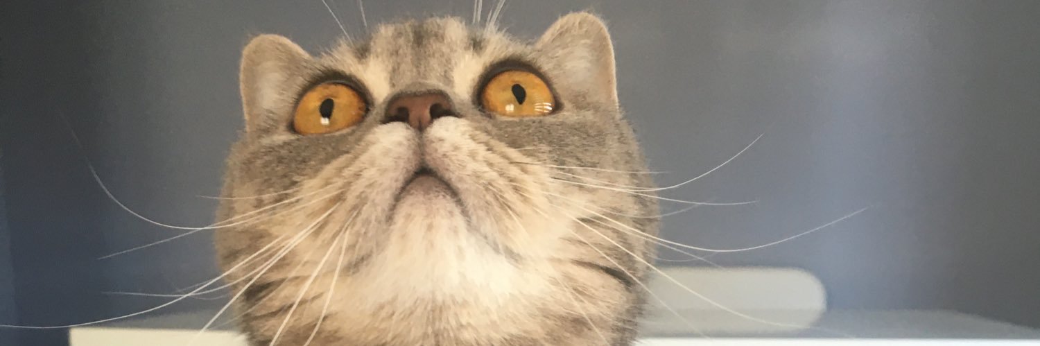 Atilla Özdal banner