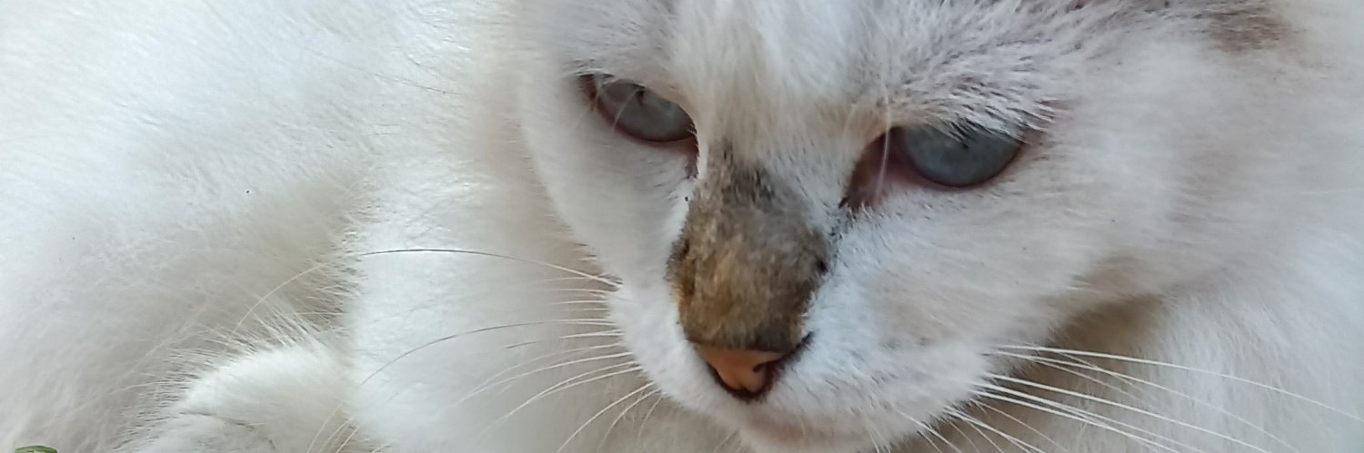 youssefsson's profile banner image