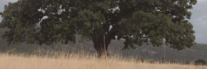 juliagomez19's profile banner image