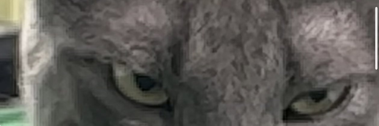 funky_chavalo's profile banner image