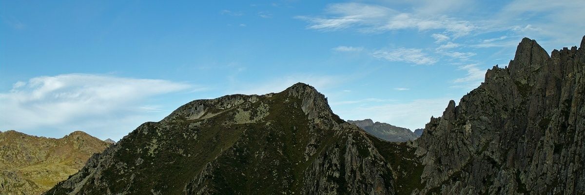 vanburrasca's profile banner image