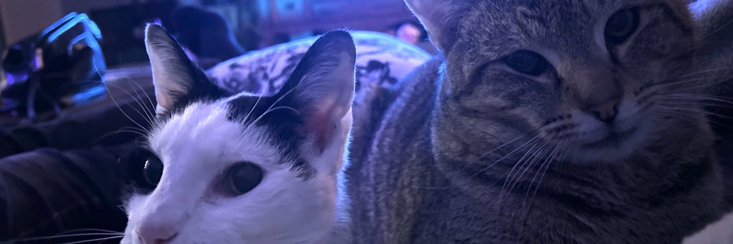 Wizardofwhack's profile banner image