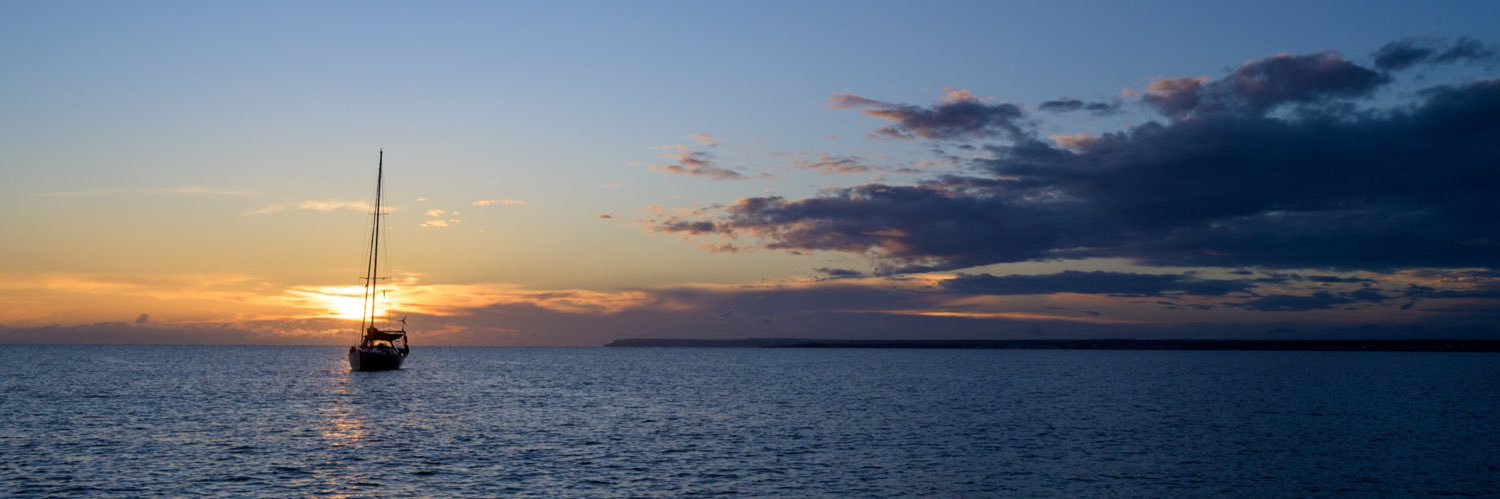 Alyssa Jade McDonald - Baertl banner