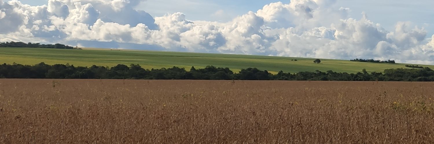 LPalharini's profile banner image