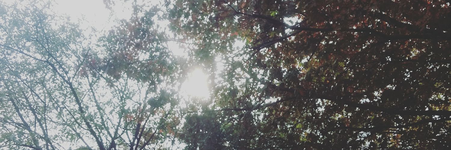 MonserratNu's profile banner image