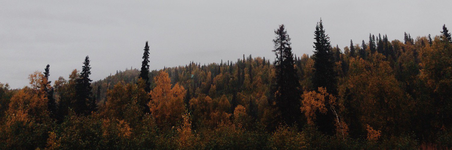 laurenohlman's profile banner image