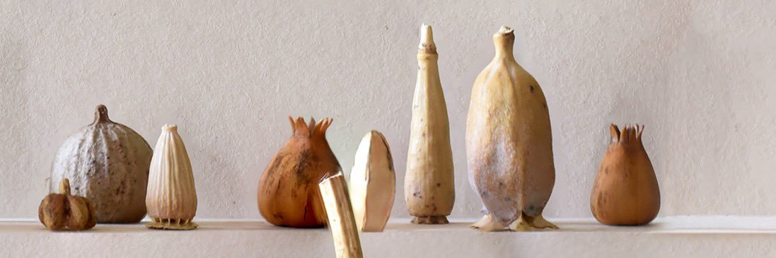 aguas frescas banner