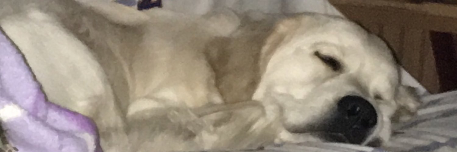 ChristyL1966's profile banner image