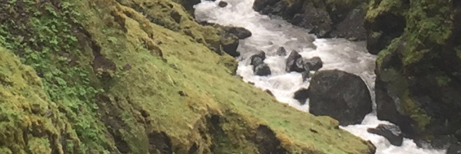 Oliver Hanisch banner