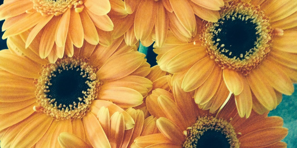 lauren_waters's profile banner image