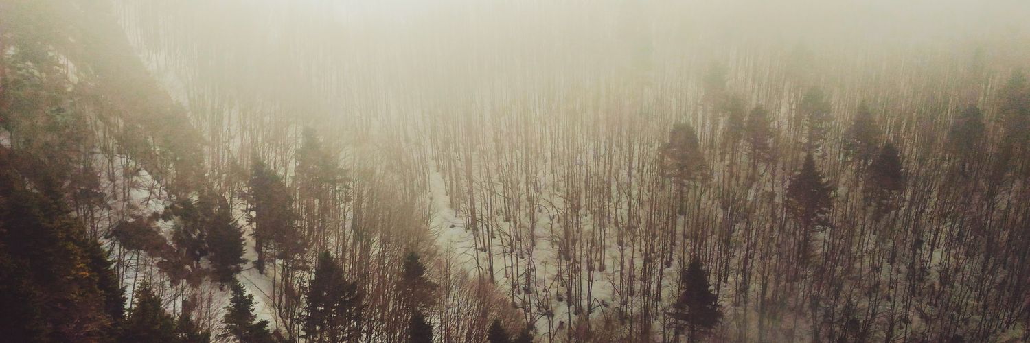 teknoveled's profile banner image