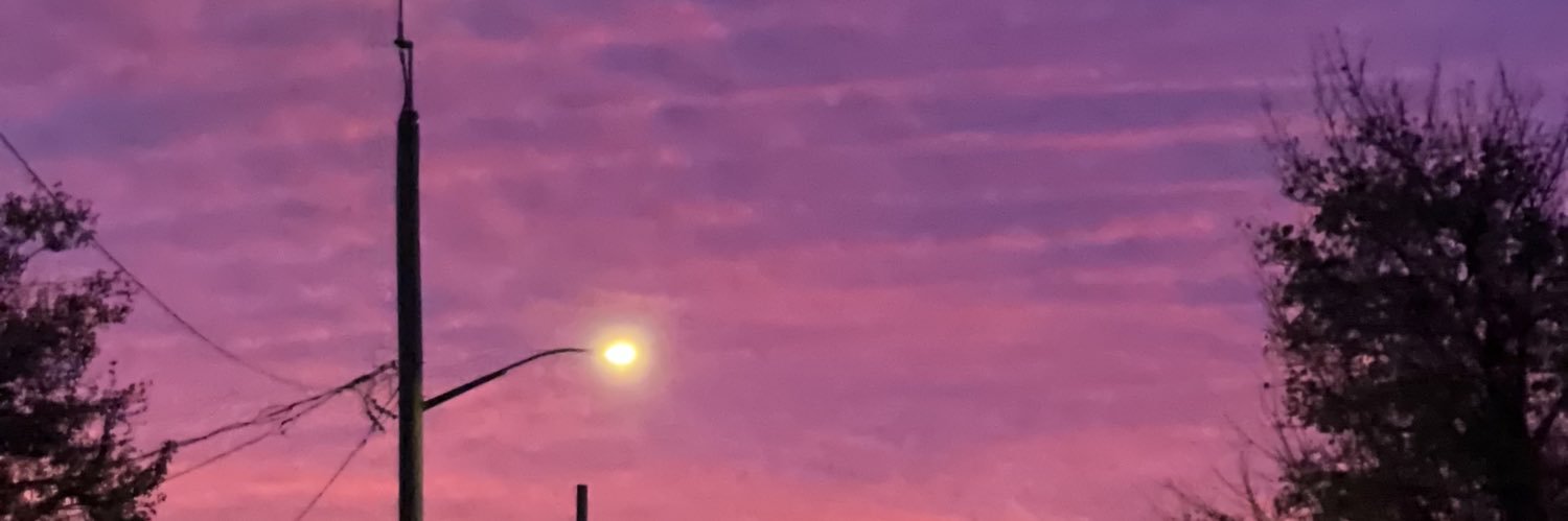 Lady_Vyolet's profile banner image