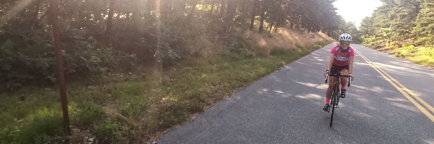 HilaryNHall's profile banner image