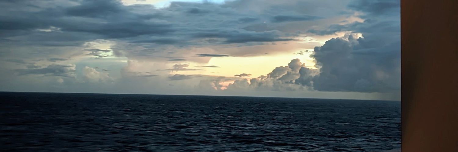 Ricardo Rossini banner