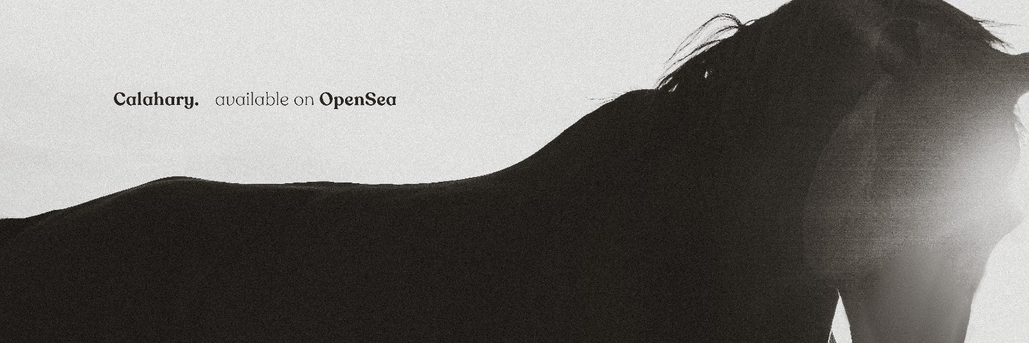 Marcela Müller banner