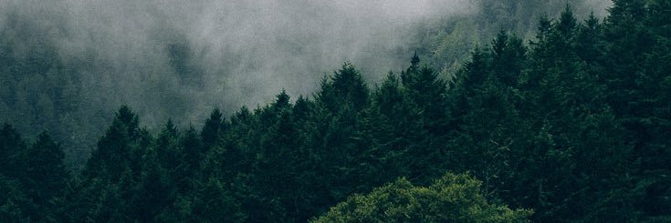 graceplaysbass's profile banner image